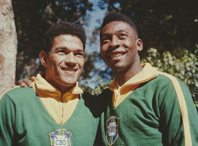 Lịch sử World Cup 1962: Người thay thế "Vua bóng đá" giữ ngai vàng